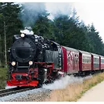 Le Petit Palais - Hotel/pension Bad Suderode