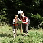 Le Petit Palais - Hotel/pension