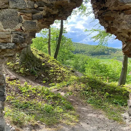 Отель Le Petit Palais - Hotel/pension 3*