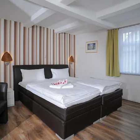 Le Petit Palais - Hotel/pension 3* Бад-Судероде
