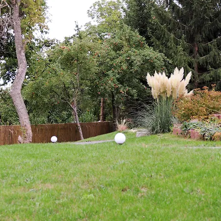 Отель Le Petit Palais - Hotel/pension 3*