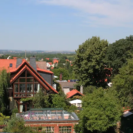 Le Petit Palais - Hotel/pension
