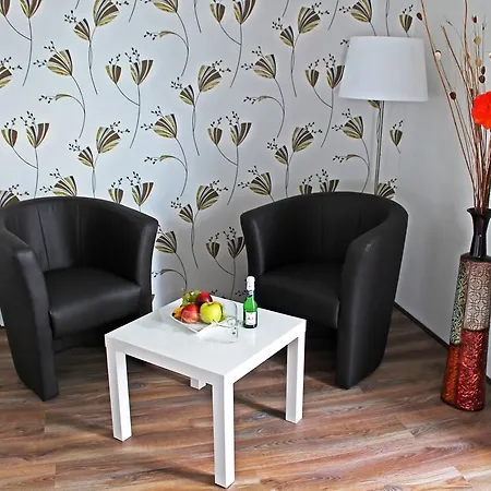 Le Petit Palais - Hotel/pension Отель 3*