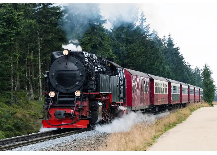 Le Petit Palais - Hotel/pension 巴特苏德罗德