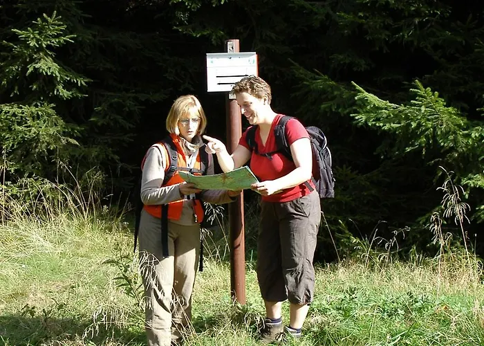 Le Petit Palais - Hotel/pension