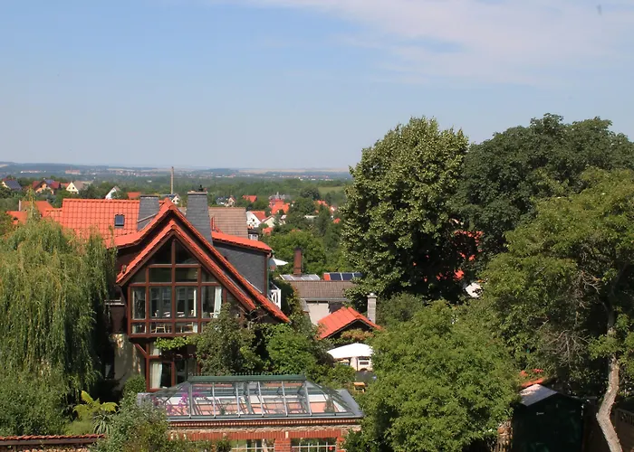 Le Petit Palais - Hotel/pension